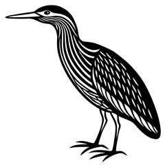 Bittern Line Art Vector Black and White Drawing Illustration Design