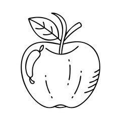 apple icon, apple vector illustration-simple illustration of apple, perfect for apple logos and icons