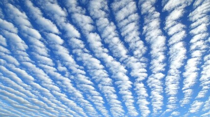 Skyward Perspective Orderly Rows of Cumulus Clouds Stretching Across a Vibrant Blue Expanse