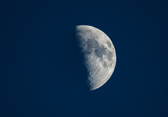 Half Moon in Deep Blue Sky, Celestial Body, Astronomy, Waxing Gibbous, Crater Details.