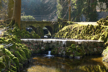 Stone Bridge Over Mossy Creek in Forest Light