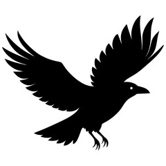 Obraz premium Flying raven silhouette vector graphic