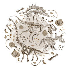  Set of dinosaur skeletons. Stegosaurus, theranosaurus and triceratops. Bones and fossils on a small stone. Partial background in the center. Watercolor illustration. Hand drawn. © Alena Sid