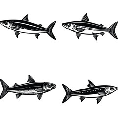 Blue ocean vector illustration of isolated shark and fish silhouettes, marine predators and tuna