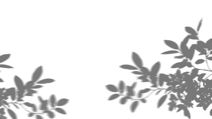 shadow overlay effects of realistic leaves and tree branch shadow on transparent png background,Summer sunlight and shadow overlay effect