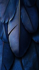 Obraz premium Close up of Deep Blue Bird Feathers with Intricate Textures and Layered Patterns Phone Wallpaper | HD Vertical Mobile Background