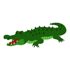 Crocodile