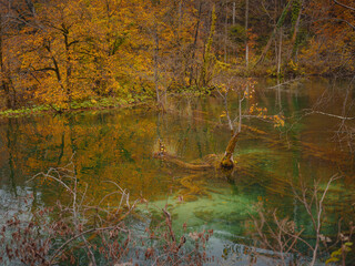 Plitvice Lakes in Croatia during autumn, showcasing stunning waterfalls, vibrant foliage, and crystal-clear waters, creating a magical and serene natural landscape perfect for nature lovers.
