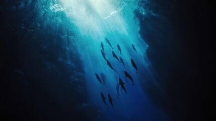 Fototapeta premium Dolphins Swimming Underwater with Sunlight Streaming Down