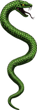 Snake coiled serpent, original illustration in a vintage woodcut engraving etching style.