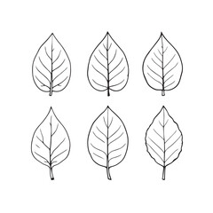 Obraz premium Betel Leaf Vector Line Art Modern Design Concept