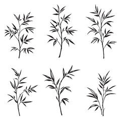 Elegant Bamboo Leaf Vector Line Art Design Illustration