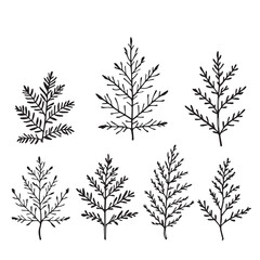 Elegant Cedar Leaf Vector Line Art Design