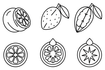 bael fruit line art modern outline vector for organic food branding.eps