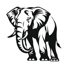 Fototapeta premium about animals, animals, types of animals, animal cartoons, animal vectors