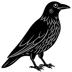 Crow Line Art Vector Black and White Drawing Illustration Design
