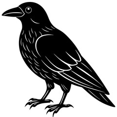Crow Line Art Vector Black and White Drawing Illustration Design