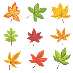 Fototapeta premium set of autumn leaves collection