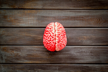 Creative brain concept. Human brain anatomical model, top view