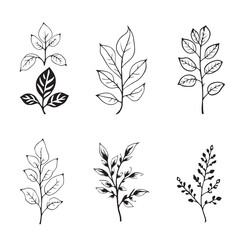 Unique Banyan Leaf Vector Art for Creative Projects