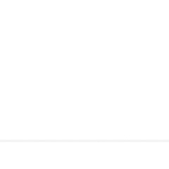 白い花柄チュールレースのパターン
