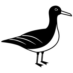 Animal albatross silhouette vector illustrator 