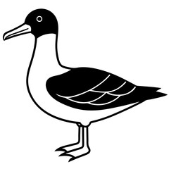 Animal albatross silhouette vector illustrator 