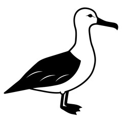 Animal albatross silhouette vector illustrator