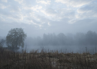Obraz premium Misty morning at a lake with trees. A mystical morning scene at a lake in the fog. The trees are only just visible.