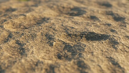 Close-up of a textured sandstone surface with shallow depressions and shadows.