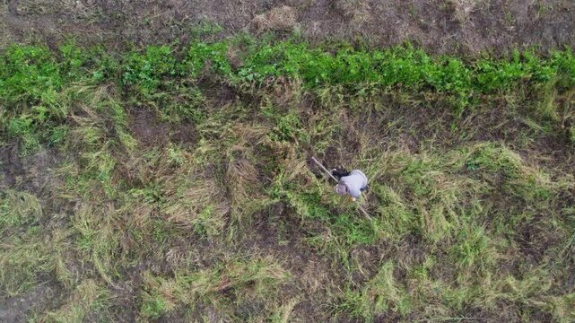Traditional Farming in Hakkari, Turkey &ndash; Aerial View of a Farmer Harvesting by Hand
