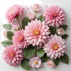 3D Ultra-Realistic Pink Dahlias and Camellias on White Background

