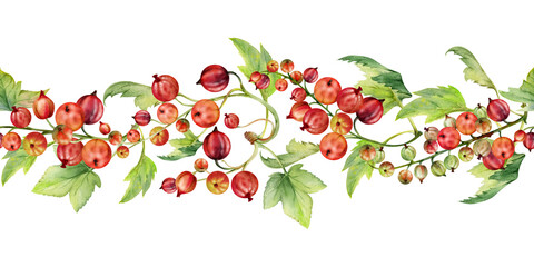 Currant gooseberry with leaves in clusters, ripe berry casseille juneberry jostaberry, hand drawn in watercolor. Isolated seamless banner border garland. Dessert menu, eco farmers market, gardening.