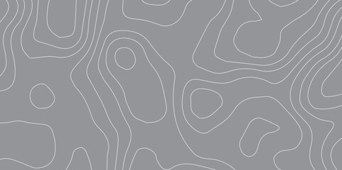 Black and white wave abstract topographic map contour, lines Pattern background. Topographic map and landscape terrain texture grid. Wavy banner and color geometric form. Vector illustration