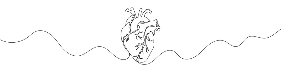 Heart icon drawn with one line. Black outline of an anatomical heart made with a single continuous line. Vector illustration.