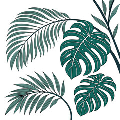 Botanical Monstera Leaves Vector for Tropical and Floral Patterns