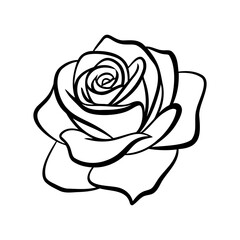 Rose icon. Black outline rose icon isolated on white background. Vector illustration.