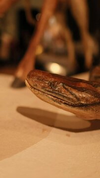 Python Taxidermy at Scottish Museum