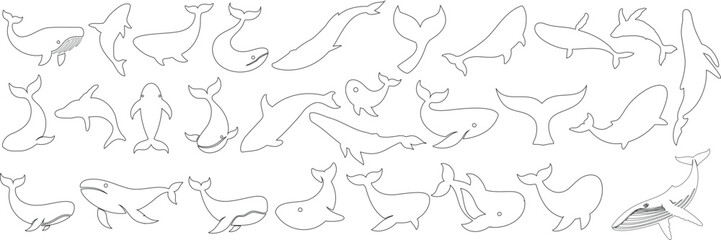 Whale line art set, whale outline silhouette vector featuring hand drawn marine mammal, minimalist ocean animal clipart includes whale tail, for logos, icons, and educational designs