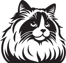 Black and White Ragdoll Cat Vector