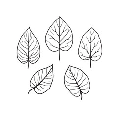 Fototapeta premium Minimalist Pothos Leaf Vector Line Art Drawing
