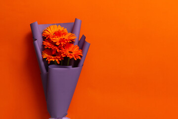 orange flower in vase. Orange gerberas in purple packaging