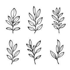 Fototapeta premium Elegant Olive Leaf Line Art for Creative Projects