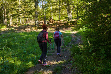 Fototapeta premium Women hiking on forest trail.........