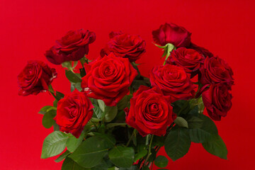 bouquet of red roses on a red background