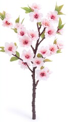 Obraz premium A delicate artificial cherry blossom branch with light pink flowers and vibrant green leaves, perfect for sp decorations or floral arrangements, stands isolated on a white