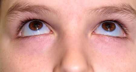 Fototapeta premium boy looking up with eyes. close-up part of face