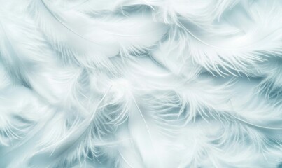 Fototapeta premium A gentle cascade of white feathers creates a soft, textured, and calming background.