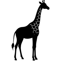Obraz premium giraffe vector illustration