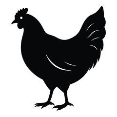 Chicken Silhouette, Vector EPS10 Illustration, Hen silhouette isolated on white background, Chicken hen silhouette isolated on white background, Flat vector Farm Animal illustration.